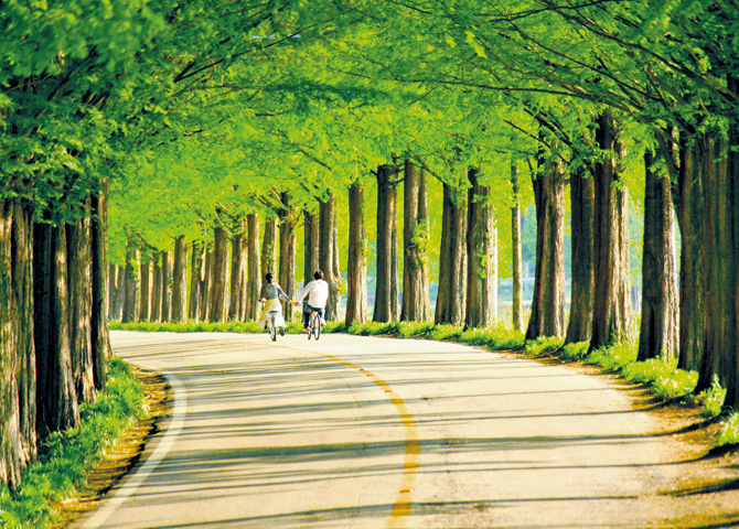 YEONGSANGANG Bicycle Path guide image01