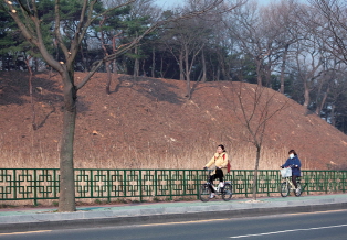 Two cyclists riding on a road under a deciduous mountain slope