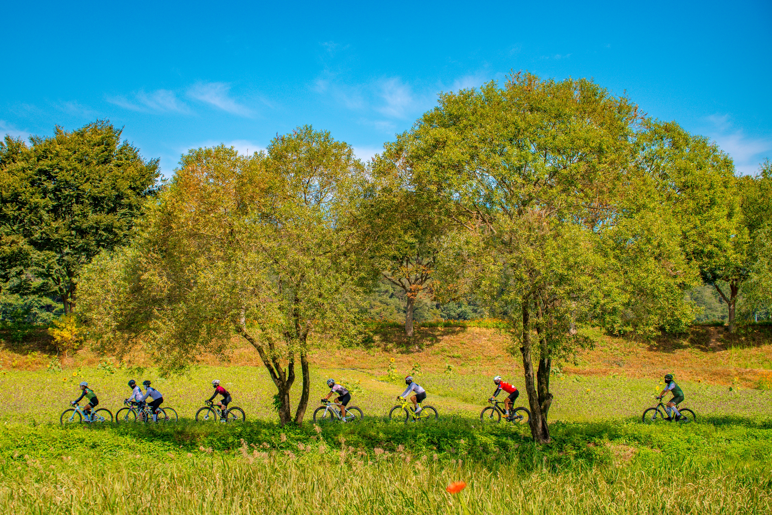 줄 맞추어 안전하게
